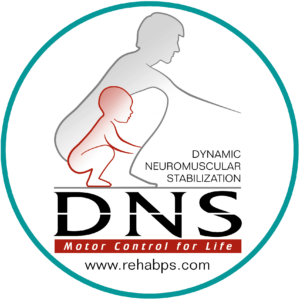 The logo is from The Prague school of DNS education